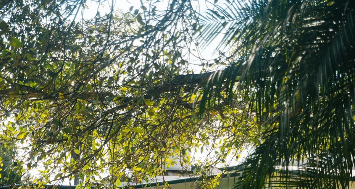 Arquitectura residencial contemporánea que representa el contexto tropical panameño